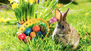 Easter bunny II