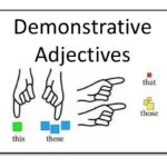 Summer English Lesson XXII. Demonstrative adjectives